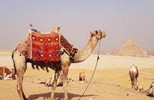 Guided Half-Day Trip to Giza Pyramids with Camel-Riding