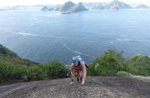 Sugar Loaf Hiking - Visit Rio de Janeiro’s Best Attraction Hiking and Climbing