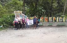 Machu Picchu by Bus by Hydroelectric 2 Days 1 Night