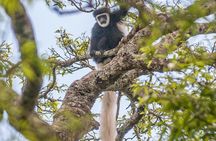 Arusha National Park Day Trip