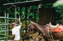 Horseback Riding and Waterfalls from Manuel Antonio