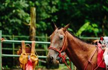 Horseback Riding and Waterfalls from Manuel Antonio