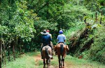 Horseback Riding and Waterfalls from Manuel Antonio