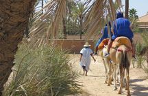 Camel Ride & Quad Biking Half Day in Marrakech