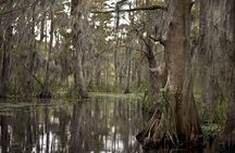 4-Hour Private Airboat Ride with Tranportation from New Orleans