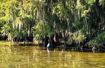 New Orleans Swamp Tour Boat Adventure