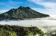 DayTour:Traditional House-Batuan-Tirta Empul- Ubud Rice field-Kintamani Volcano 