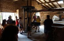 Mallorca: 5-hours Hidden Marvels Tour