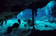 Dos Ojos Cenote Cavern Dive- The Barbie Line and The Bat Cave