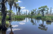 Large Airboat Swamp Tour with Transportation from New Orleans 