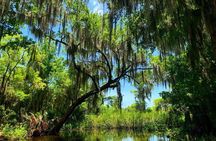 Large Airboat Swamp Tour with Transportation from New Orleans 