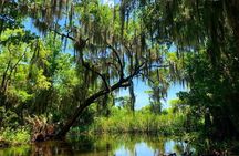 New Orleans Swamp Tour Boat Adventure with Transportation