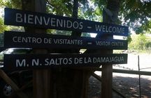 27 Waterfalls With Locals Expert Guides from Damajagua Entrance