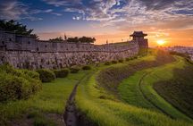 Night View Tour to Suwon Hwaseong Fortress from Seoul