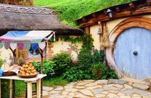 Luxury Small group tour from Auckland to Hobbiton Movie Set
