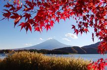 Discover Mt. Fuji 5th Station & Kawaguchiko Sightseeing Day Tour