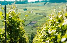 Champagne Day Trip with 6 Tastings, Reims and Winery from Paris
