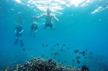Snorkeling Package at Padang Bai Blue Lagoon
