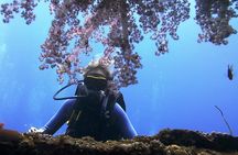 Bali Scuba Diving trip at Tulamben for Certified Diver