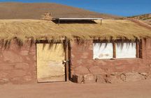 San Pedro de Atacama: Half day to El Tatio Geysers, breakfast included