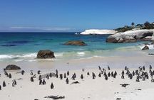 Cape Peninsula Day Tour