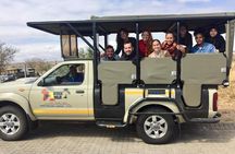 Budget 3 Day Kruger Safari from Johannesburg