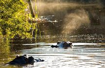 2-Hour Game Drive at the Plettenberg Bay Game Reserve