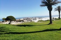 Cape Peninsula Day Tour