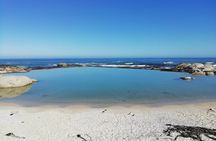 Cape Peninsula Day Tour