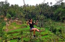 Ubud Private Tour – Best Full-Day All-Inclusive Package