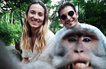 Ubud Private Tour – Best Full-Day All-Inclusive Package