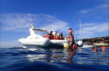 The Worlds Largest RIB luxury 3hrs including lunch and drinks 