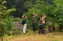 Arenal Volcano Bird Watching Experience