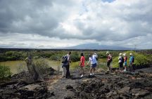5-Day Galapagos Islands plus Bike, Kayak, Hike, Snorkel