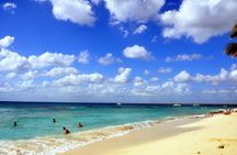 Catalina Island and Snorkeling - Full-day Trip