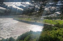 12 Apostles and Otway Fly Zipline Day Trip from Melbourne
