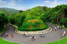 National Top Level Scenery--West Lake Private Tour from Guangzhou