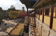 Gyeongju city tour From BUSAN - UNESCO World Heritage Site