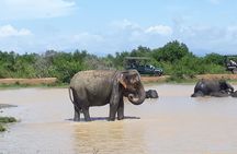 Private 2-Day Trip To Mirissa Beach And Yala From Colombo