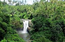 Bali Full Day Tour – Ubud and Tanah Lot Temple Tour