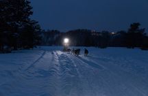 Dog Sled Tour and Husky Cuddles
