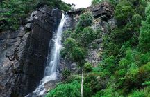 Exclusive: Tea Gardens and Waterfalls of Nuwara Eliya by Tuk-Tuk