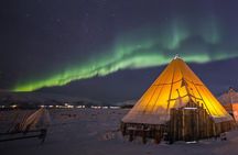 Night Reindeer Sledding with Camp Dinner and Chance of Northern Lights