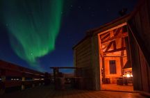 Reindeer Camp Dinner with Chance of Northern Lights in Tromso