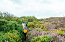 City Explorer: Howth Private Day Trip
