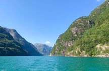 Private cruise - Fjord and waterfalls cruise to Modal- Mostraumen