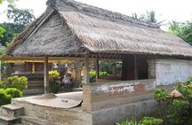 DayTour:Traditional House-Batuan-Tirta Empul- Ubud Rice field-Kintamani Volcano 