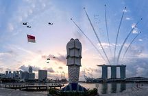 BEST Singapore Private City Tour by an Insider (1/2/3 x full-day)