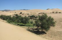 The Best of Central Mongolia Tour in 5 Days