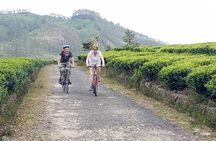 Ella Cycling Tour